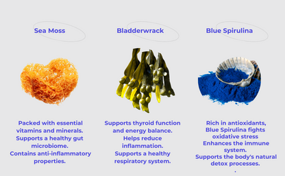 Blue Detox Boost Capsules - Sea Moss, Bladderwrack & Blue Spirulina